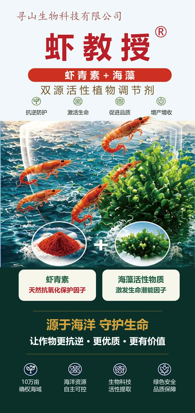 虾教授产品介绍