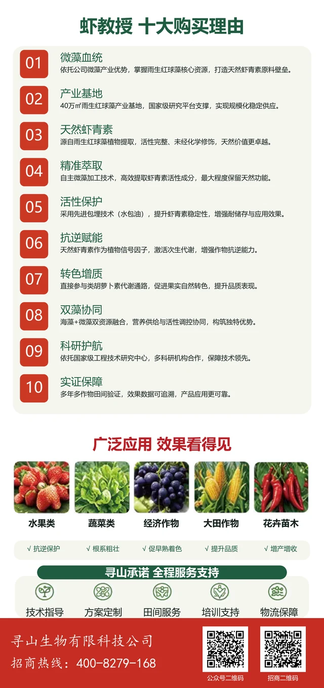 虾教授购买理由与应用